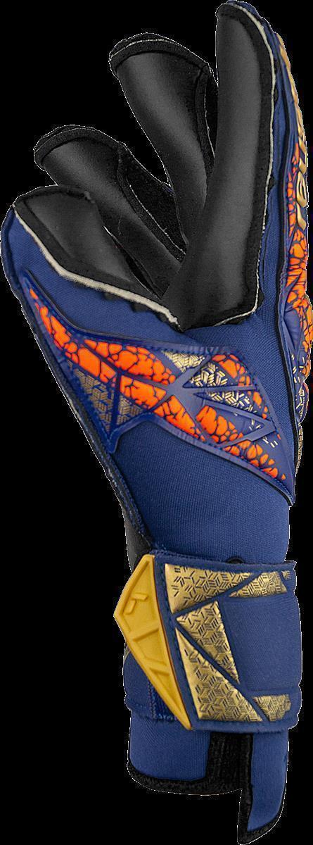 REUSCH ATTRAKT DUO EVOLUTION PREMIUM BLUE/GOLD/BLACK