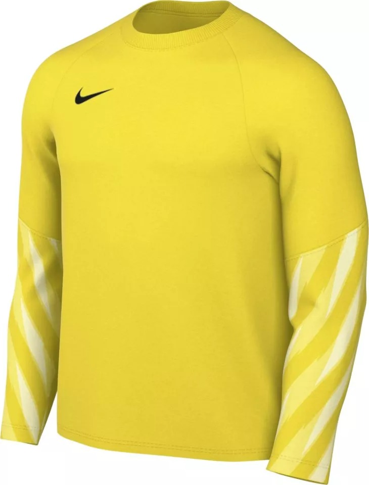 NIKE DF PARK V GK JERSEY LONG SLEEVE LIGHTENING/BLACK