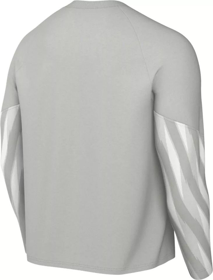 NIKE DF PARK V GK JERSEY LONG SLEEVE GREY FOG/BLACK