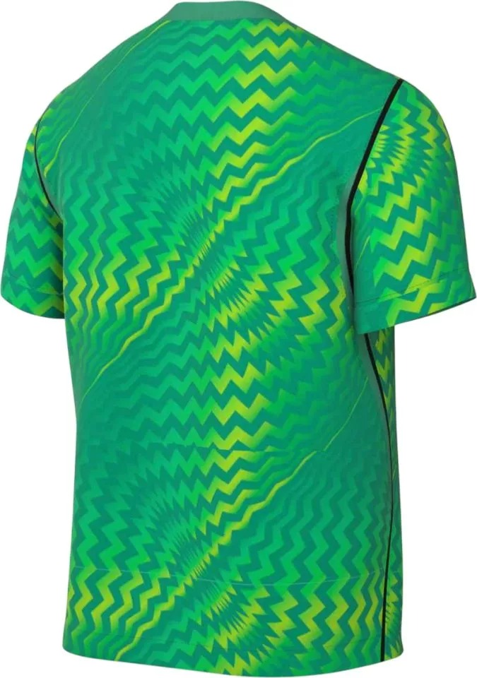 NIKE YOUTH GARDIEN VI GK JERSEY SHORT SLEEVE STADIUM GREEN/WHITE