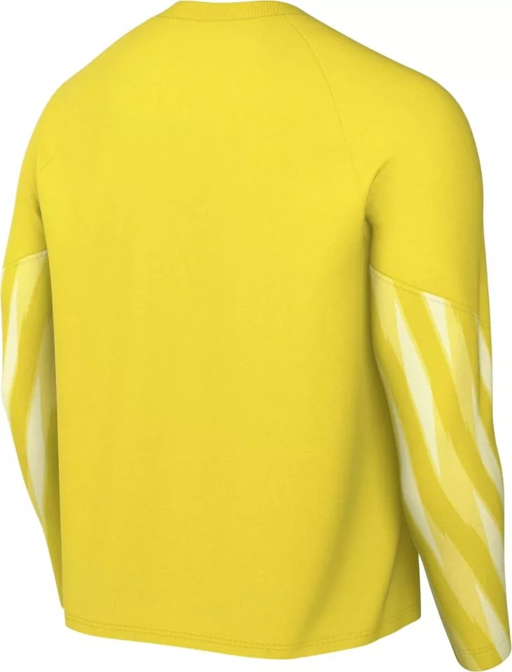 NIKE DF PARK V GK JERSEY LONG SLEEVE LIGHTENING/BLACK