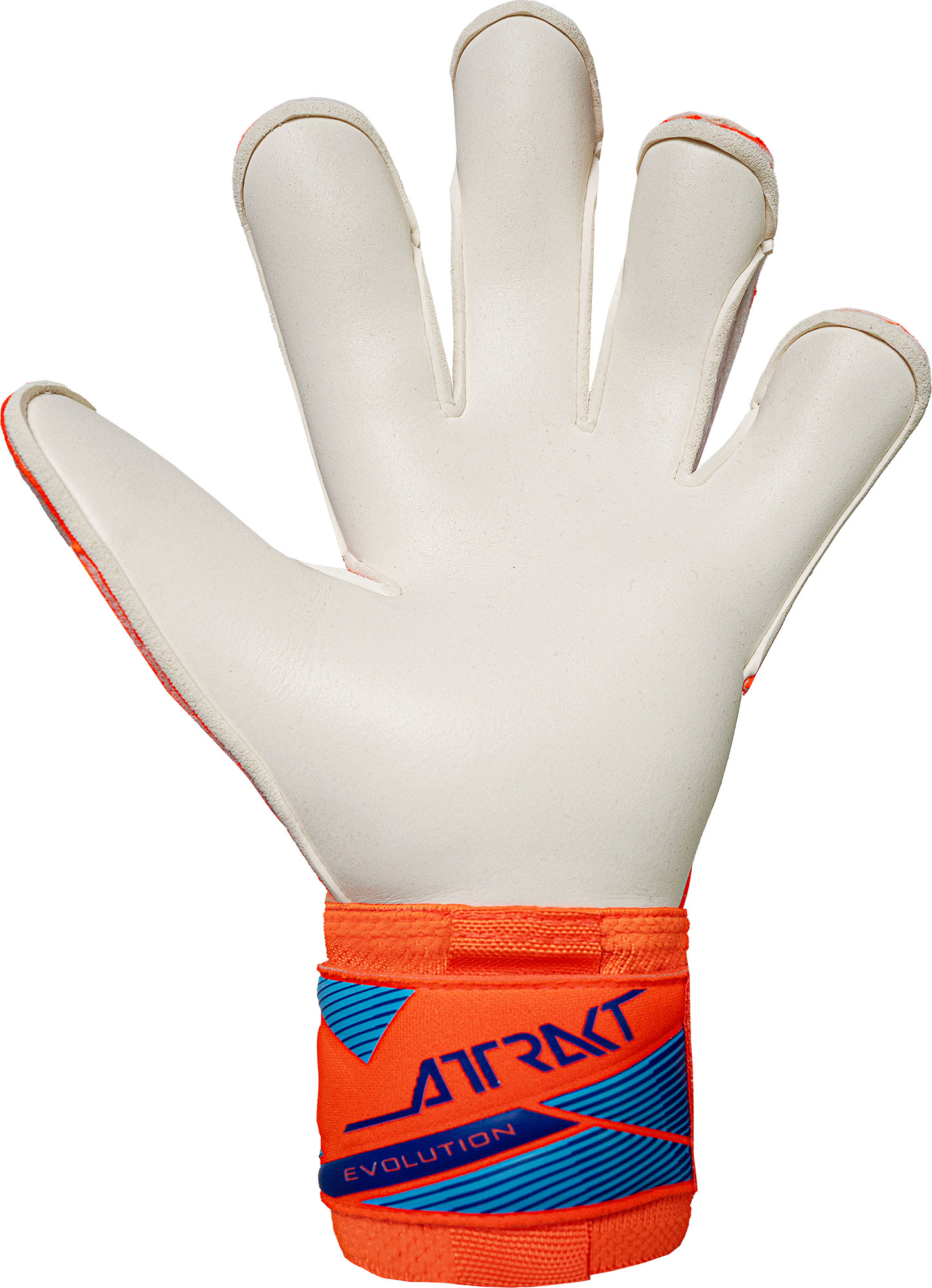 REUSCH ATTRAKT GOLD X EVOLUTION SHOCKING ORANGE/BLUE
