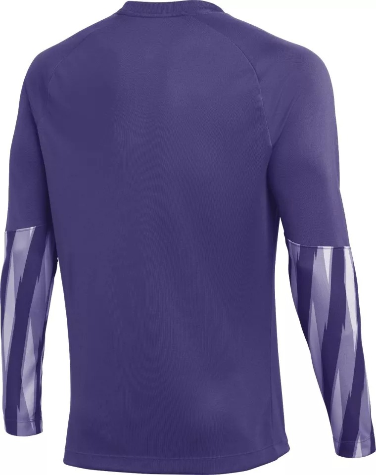 NIKE YOUTH PARK V GK JERSEY LONG SLEEVE WILD GRAPE/WHITE