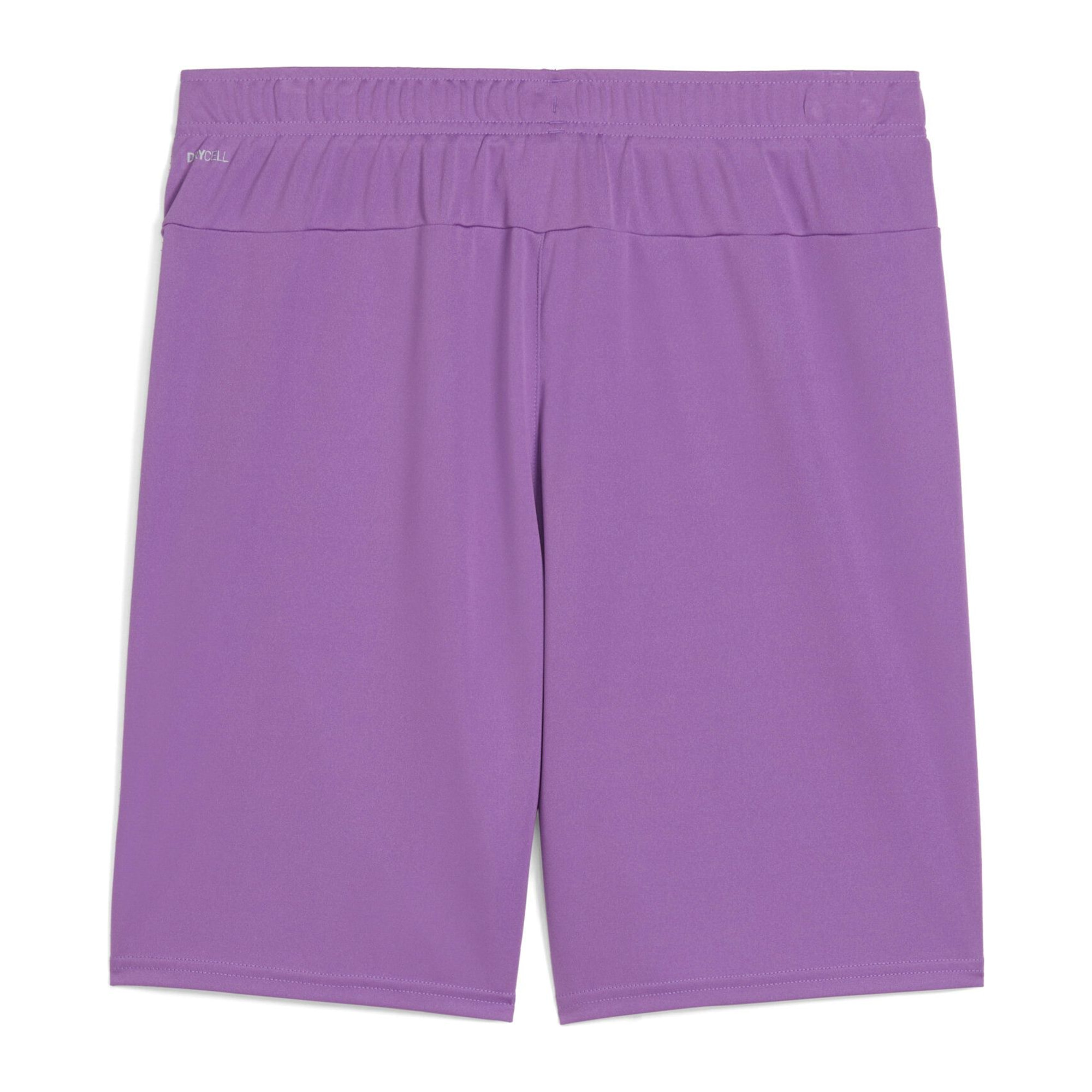 PUMA teamGOAL SHORTS ULTRVIOLET-PUMA WHITE