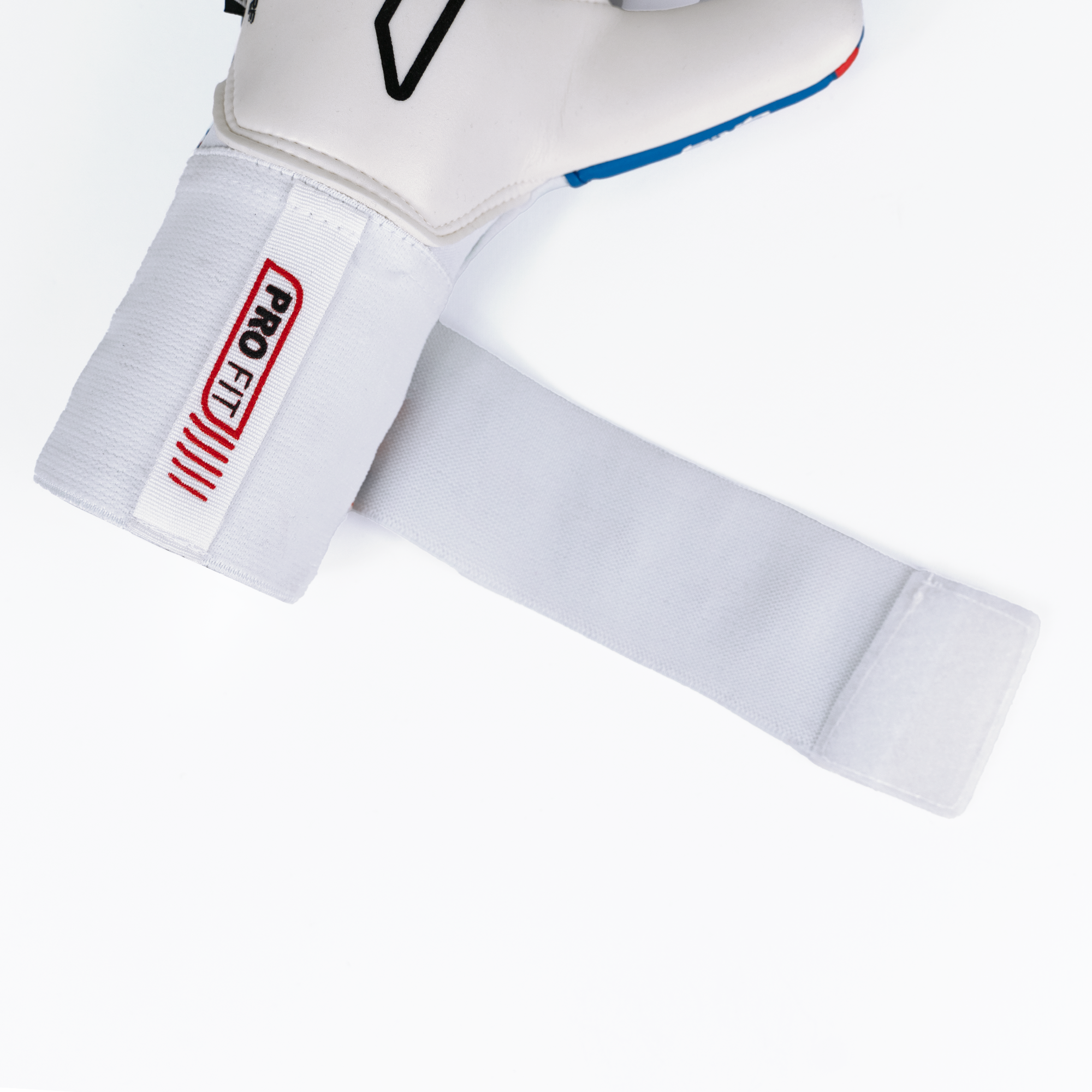 RINAT XTREME GUARD DOMINIUS TURF