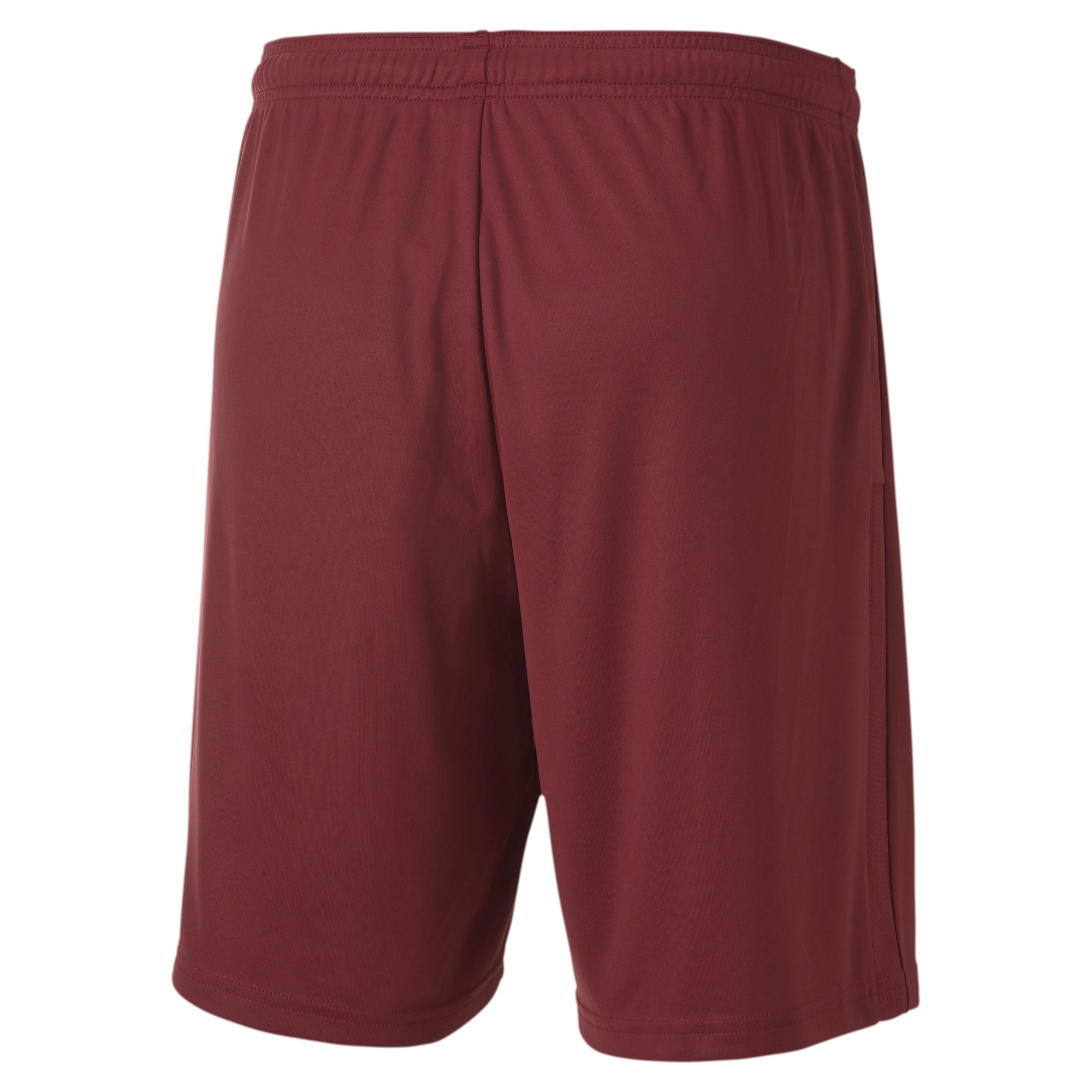 PUMA TEAMGOAL 23 KNIT SHORTS CORDOVAN
