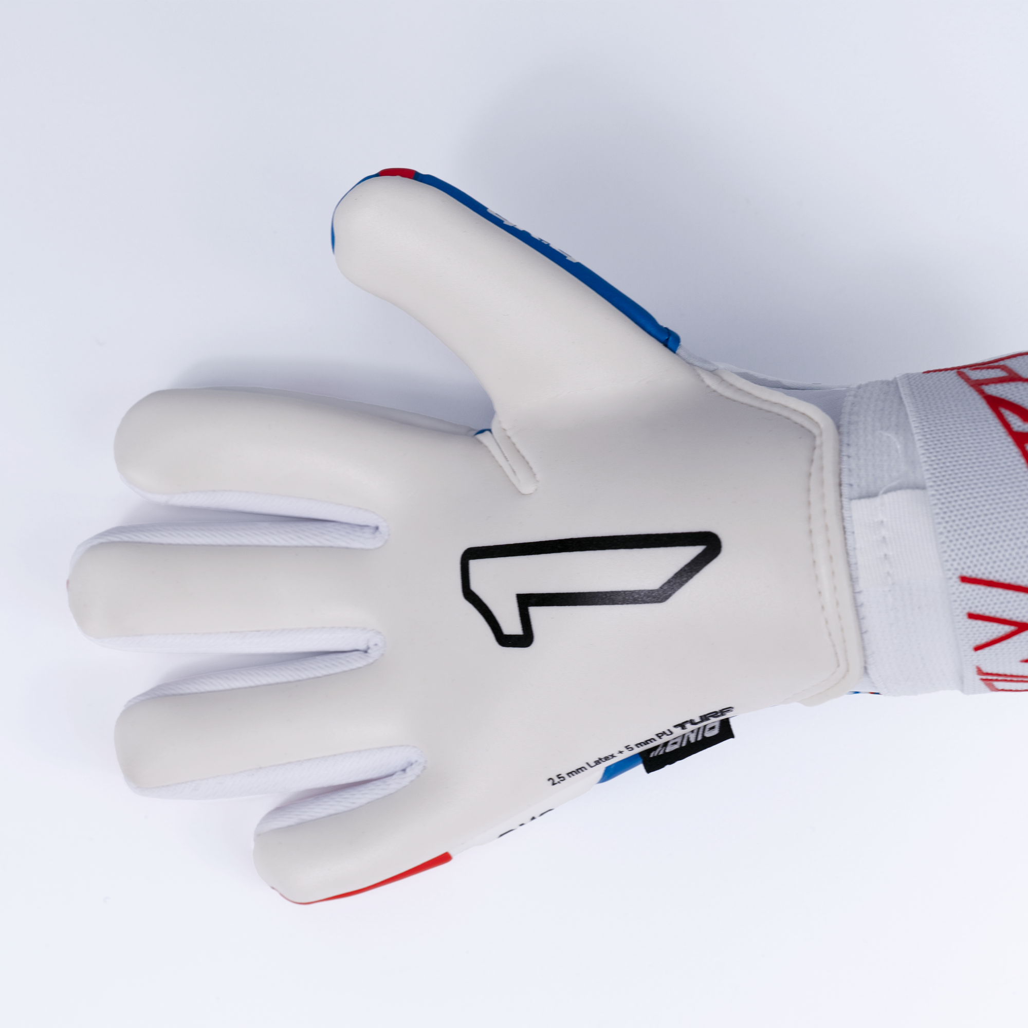 RINAT XTREME GUARD DOMINIUS TURF