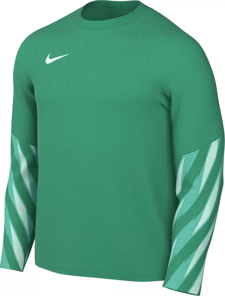 NIKE YOUTH PARK V GK JERSEY LONG SLEEVE STADIUM GREEN/WHITE