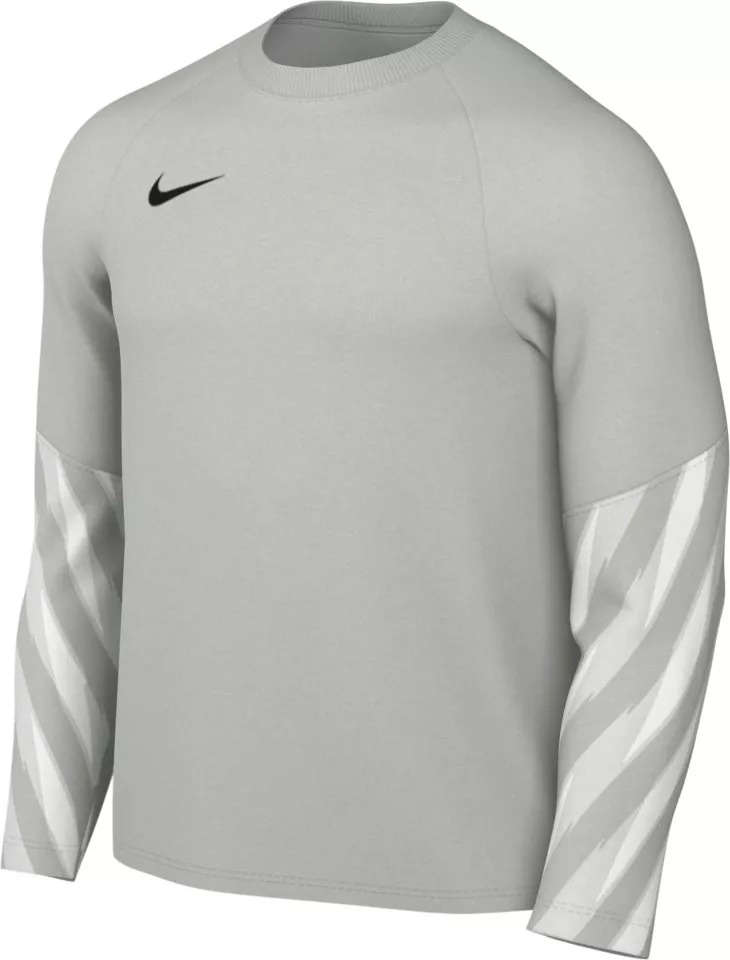 NIKE DF PARK V GK JERSEY LONG SLEEVE GREY FOG/BLACK
