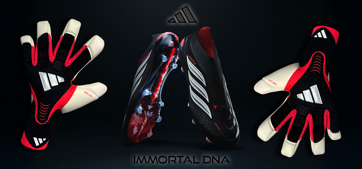 immpoprtal dna pack
