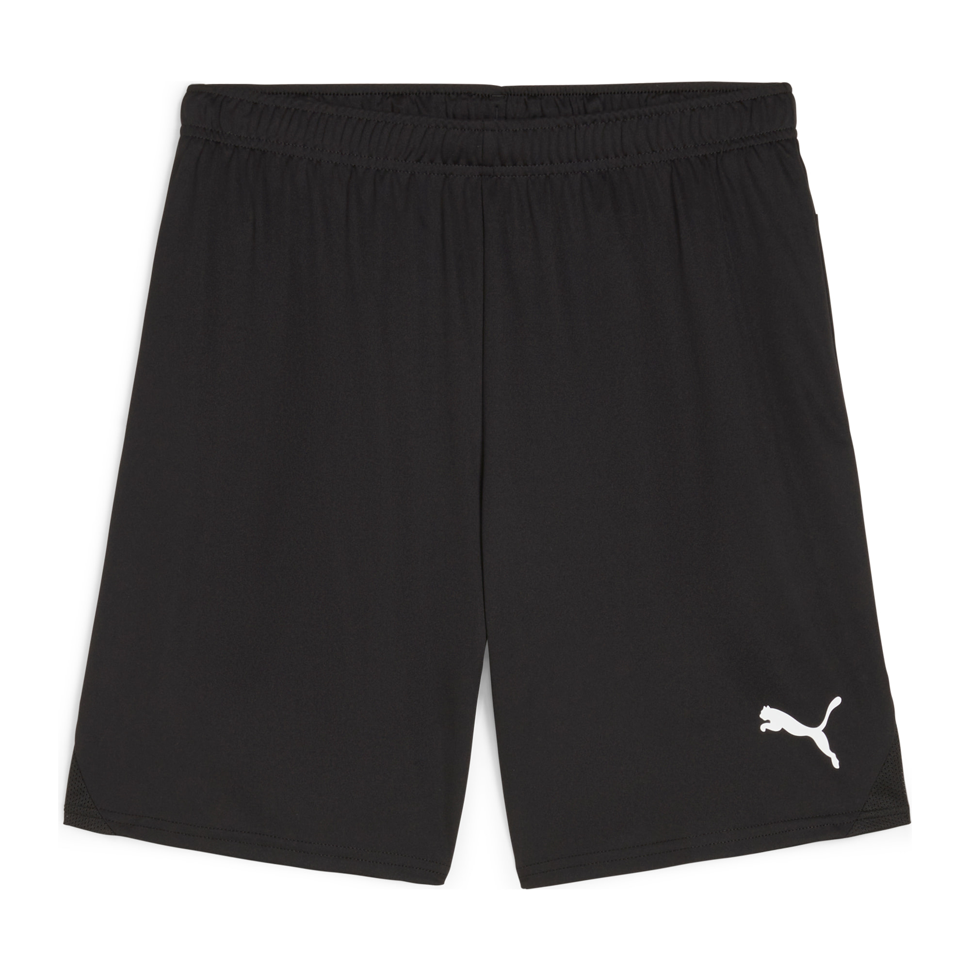 PUMA teamGOAL SHORTS PUMA BLACK-PUMA WHITE