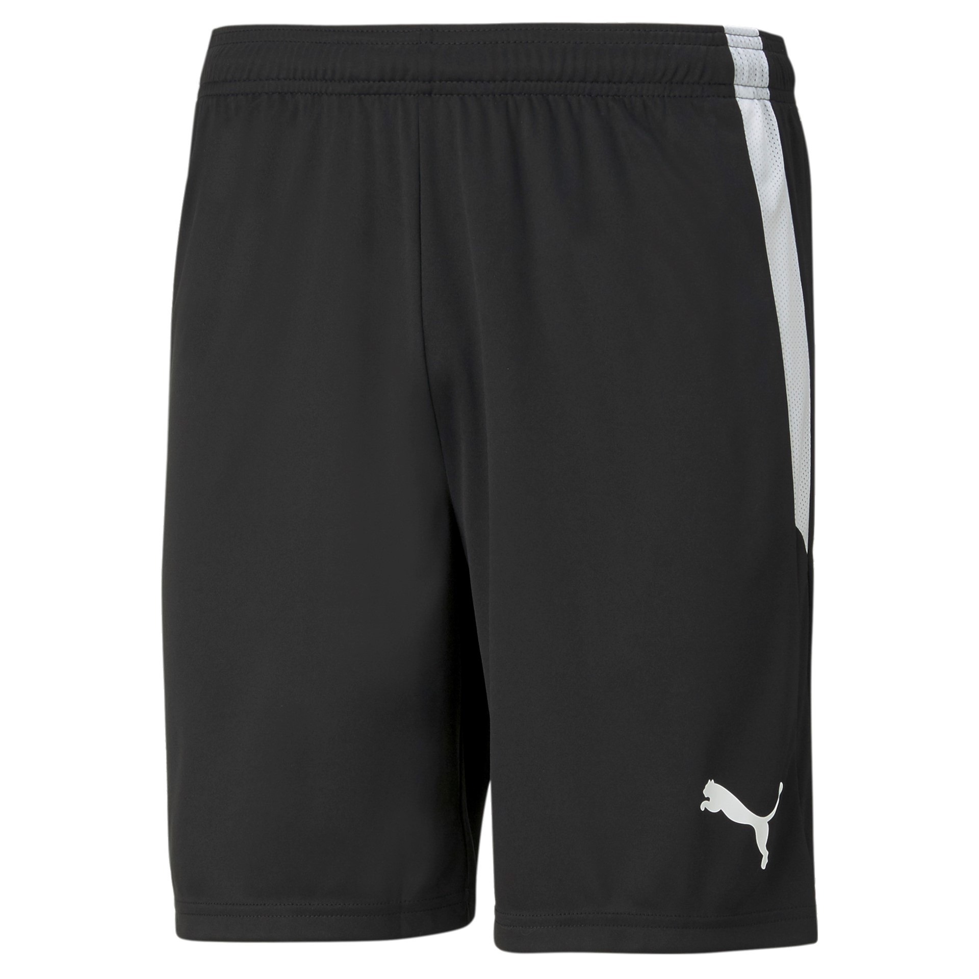PUMA TEAMLIGA SHORTS BLACK