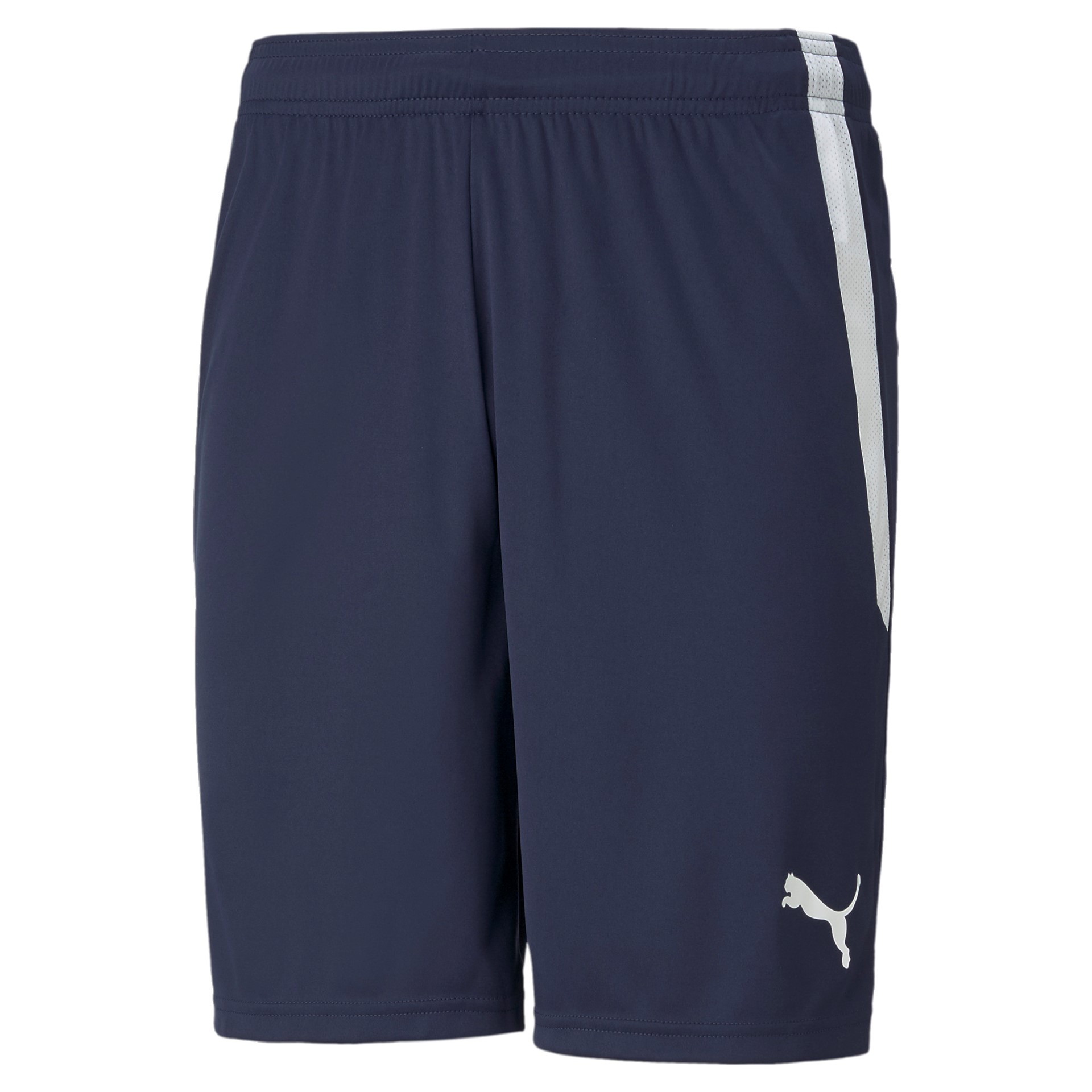 PUMA TEAMLIGA SHORTS PEACOAT