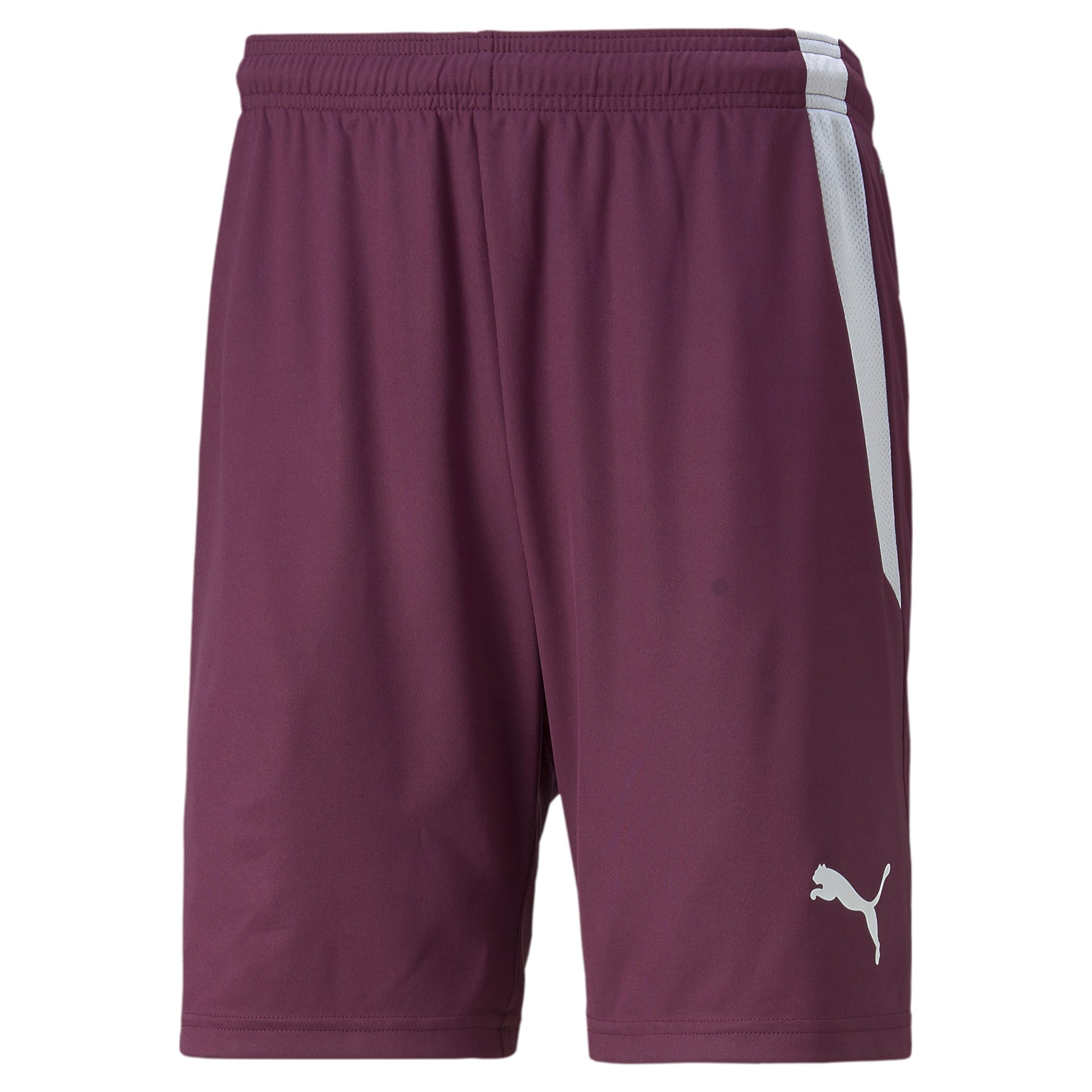 PUMA TEAMLIGA SHORTS GRAPE WINE