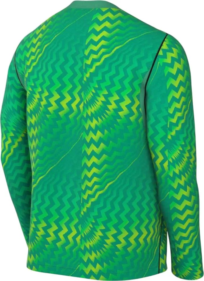 NIKE DF GARDIEN VI GK JERSEY LONG SLEEVE STADIUIM GREEN/WHITE