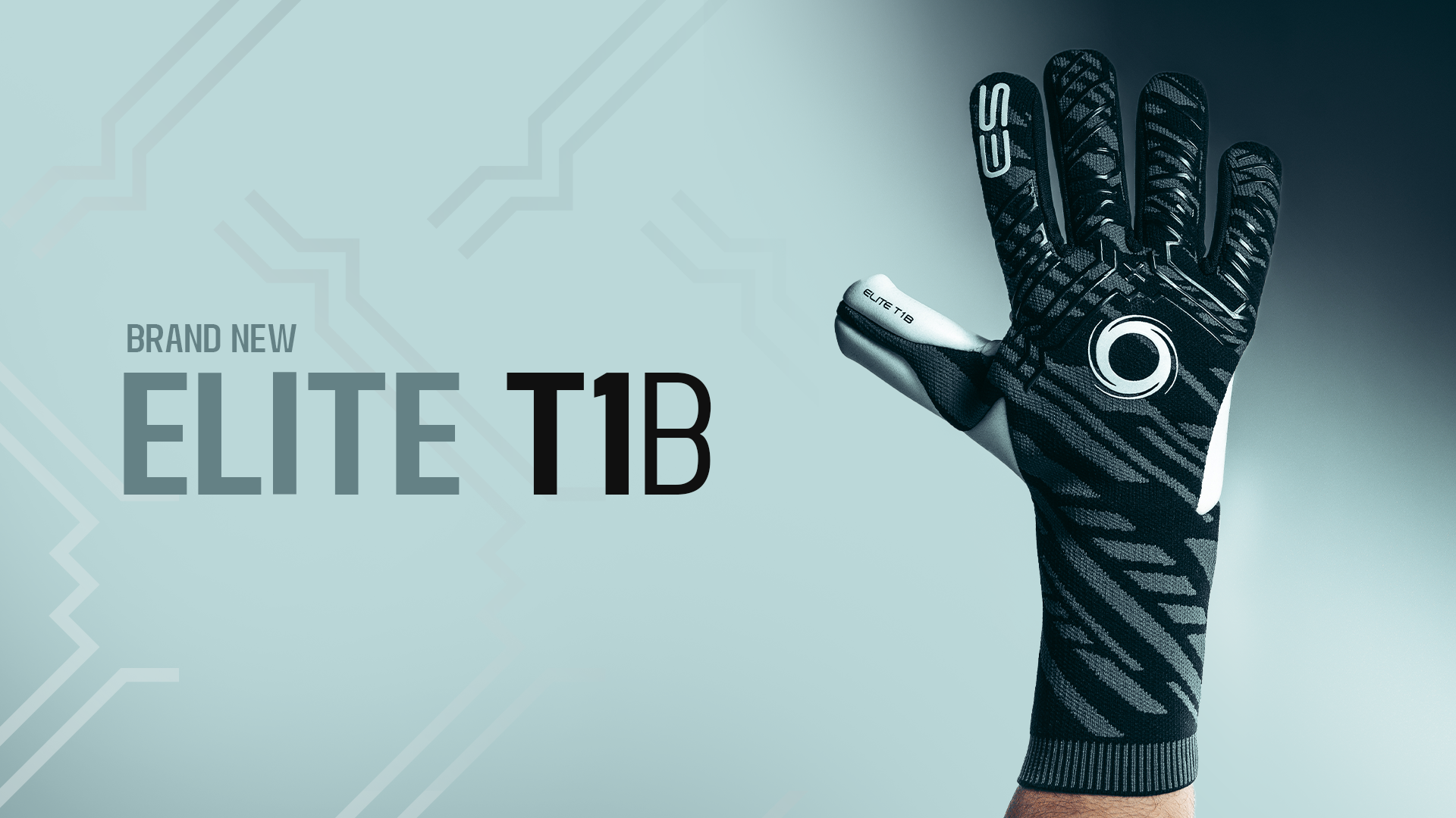Banner Desktop T1B