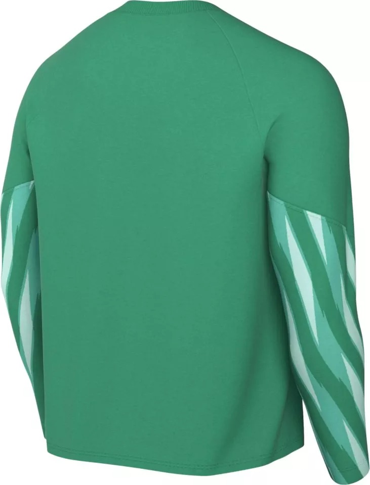 NIKE DF PARK V GK JERSEY LONG SLEEVE STADIUM GREEN/WHITE